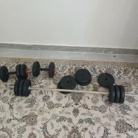 دمبل و هالتر