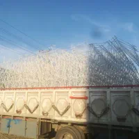 تولیدی وپخش شاخ گوزنی اجراونصب