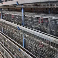 قفس بلدرچین کار کرده 5 طبقه