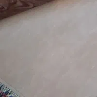 قالیچه|گلیم، جاجیم، گبه|مشهد, سپاد|دیوار