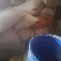 2تن‌کاه‌گرگرودرجه‌یک‌یک‌تماس‌باشماره‌تلفن‌عکس‌اگهی