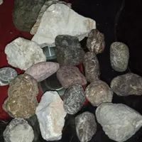 همه به فروش میرسد قیمتهای مختلف کلکسیونی