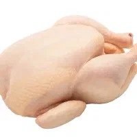 توزیع مرغ پاکتی