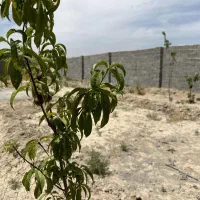 چهاردیواری بادرب مجزا و سند
