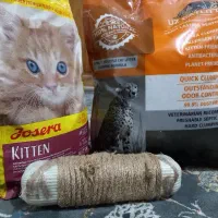 غذای گربه وخاک یوزکربن