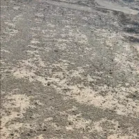 زمین فروشی ۲۵۰متر دو کله