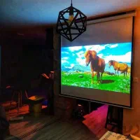 فروشگاه تخصصی ویدئو پروژکتور آموزشی در جنوب کشور|تلویزیون و پروژکتور|قیروکارزین, |دیوار