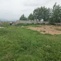 ۷پلاک زمین سند دار باقیمت عالی بفروش میرسد|فروش زمین و ملک کلنگی|طاهرگوراب, |دیوار
