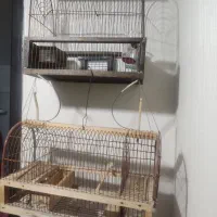 تله و قفس دست ساز نو نو