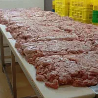 تهیه کننده سینه و فیله و ران‌مرغ تازه ....