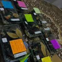 حلزون آچاتینا طبی آلبینو معجزه پوست