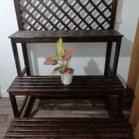 استندگل