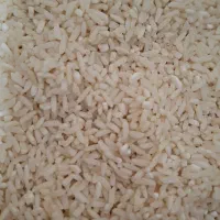 فروش برنجطلارم محلی (سنگه طارم)مازندران|خوردنی و آشامیدنی|کیش, |دیوار