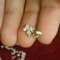 نقره|کلکسیون اشیاء عتیقه|بیرجند, |دیوار