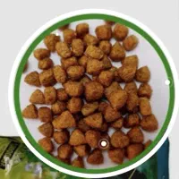غذای‌گربه