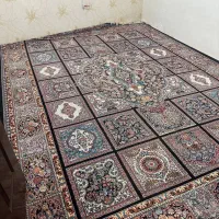 فرش ۱۲متری|فرش|تربت‌حیدریه, حسنی بالا|دیوار