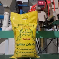 برنج عنبربو جنوب رضایی