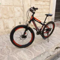 دوچرخه المپیا ۲۶