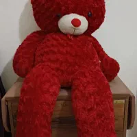 مقداری  لوازم  جهت نگهداری و سرگرمی