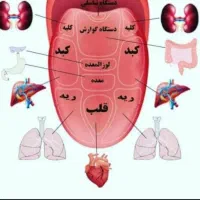 مشاور و متخصص طب سنتی|خدمات آموزشی|رشت, حومه رشت|دیوار