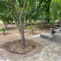 فروش باغ و باغچه|فروش زمین و ملک کلنگی|شاهین‌شهر, ۹ دی|دیوار