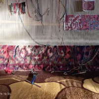 فرش تاجری 6متری هریس