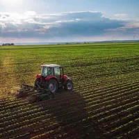 زمین کشاورزی دیمی واقع در روستای بوئین زنجان