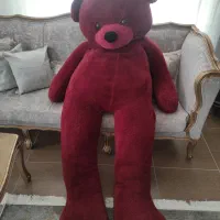 خرس بزرگ|اسباب‌‌بازی|آمل, |دیوار