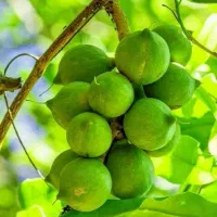 فروش فندق سالم و ریشه دار
