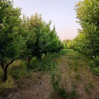 ویلا بر جاده اصلی دارای آب و برق و مجوز