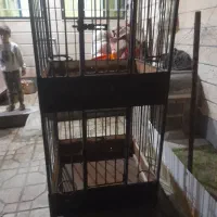 فروش قفس پرنده|لوازم جانبی حیوانات|نهاوند, |دیوار