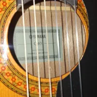 دوره آموزش مبتدی گیتار