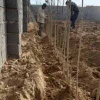 خدمات باغبانی . علف زنی .تیلر. سمپاشی. هرس|خدمات باغبانی و درختکاری|مشهد, کوی سیدی|دیوار