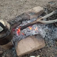 زمین-باغی-مورچه-خورت