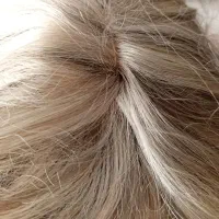 کلاه گیس بلوند و زیبا|آرایشی، بهداشتی، درمانی|پردیس, فاز ۸|دیوار