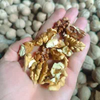 گردو|خوردنی و آشامیدنی|بیرانوند, |دیوار