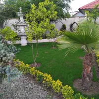 ویلا-باغ-شمالی-با-انوع-درخت