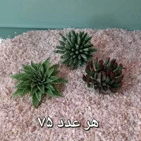 کاکتوسهای خمیری زیبا|گل مصنوعی|تهران, اختیاریه|دیوار