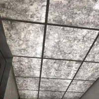 نصاب دیزایین منزل|خدمات پیشه و مهارت|شوشتر, |دیوار