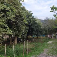 فروش زمین با کاربری مسکونی