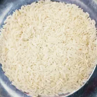 برنج هاشمی اصل درشت|خوردنی و آشامیدنی|رشت, ساغری سازان|دیوار