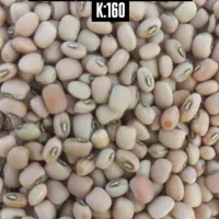 لوبیا آشی خوش پخت وتازه