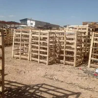 تولیدخریدفروش انواع پالت وباکس