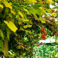 تور ۱ روزه مال اقا