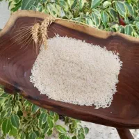 انواع برنج ایرانی طارم هاشمی|خوردنی و آشامیدنی|رباطکریم, شترخوار|دیوار