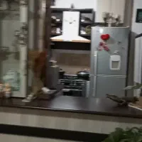 پویینک باغشهر|فروش آپارتمان|قرچک, مجتمع مسکونی طبیعت|دیوار