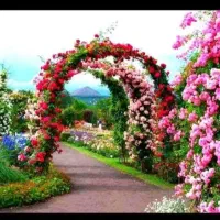 اجرا‌وامور‌باغبانی‌وفضای‌سبز|خدمات باغبانی و درختکاری|گرگان, |دیوار