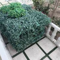 دیوار پوش سبزه مصنوعی