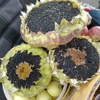 فروش محصولات خانگی