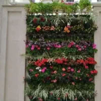 اصول نگهداری گیاهان داخلی و بیرونی